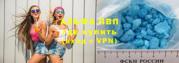 СК Новозыбков