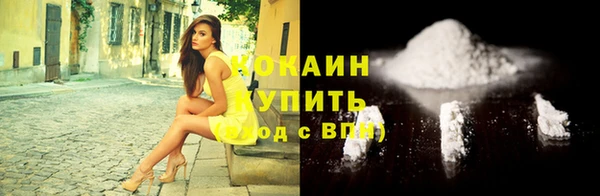 СК Новозыбков