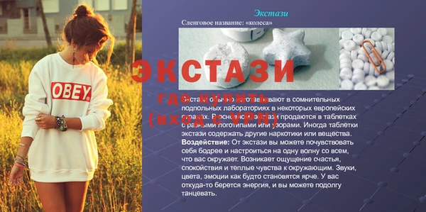 СК Новозыбков