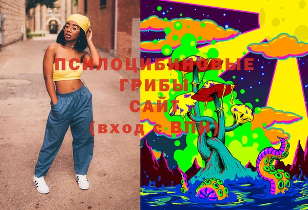 СК Новозыбков