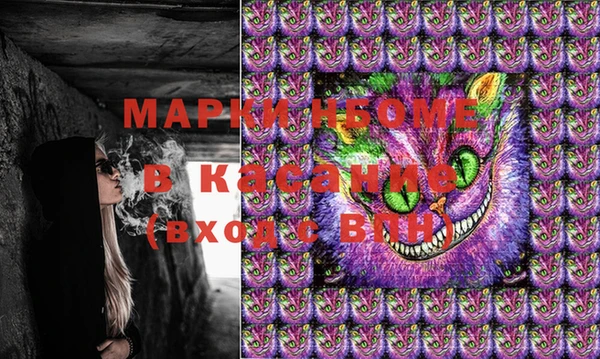 СК Новозыбков