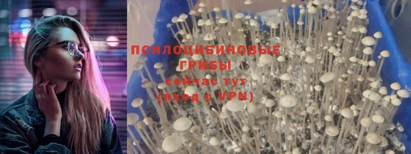 скорость mdpv Новодвинск