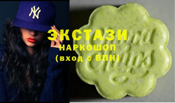 СК Новозыбков
